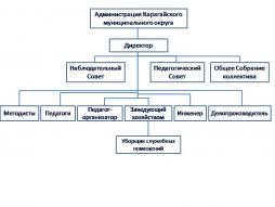 Организационная структура МАУ ДО "ЦИКТ"