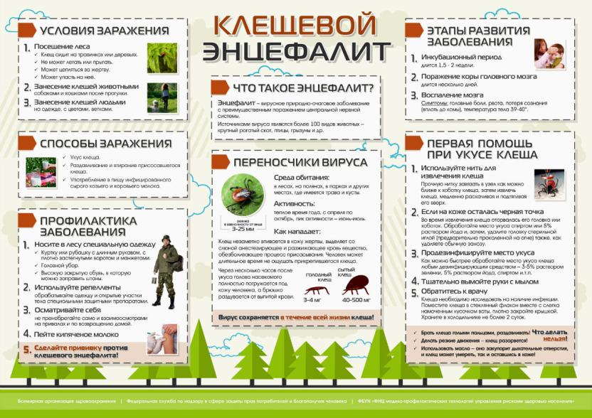 Процесс формирования сознания человека как заполнение чистой доски